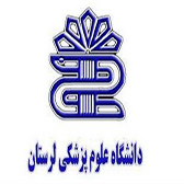 Customer 6